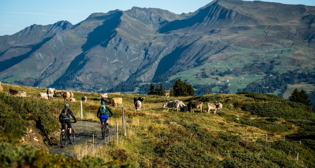 Ochsenalp - Tschiertschen Trail