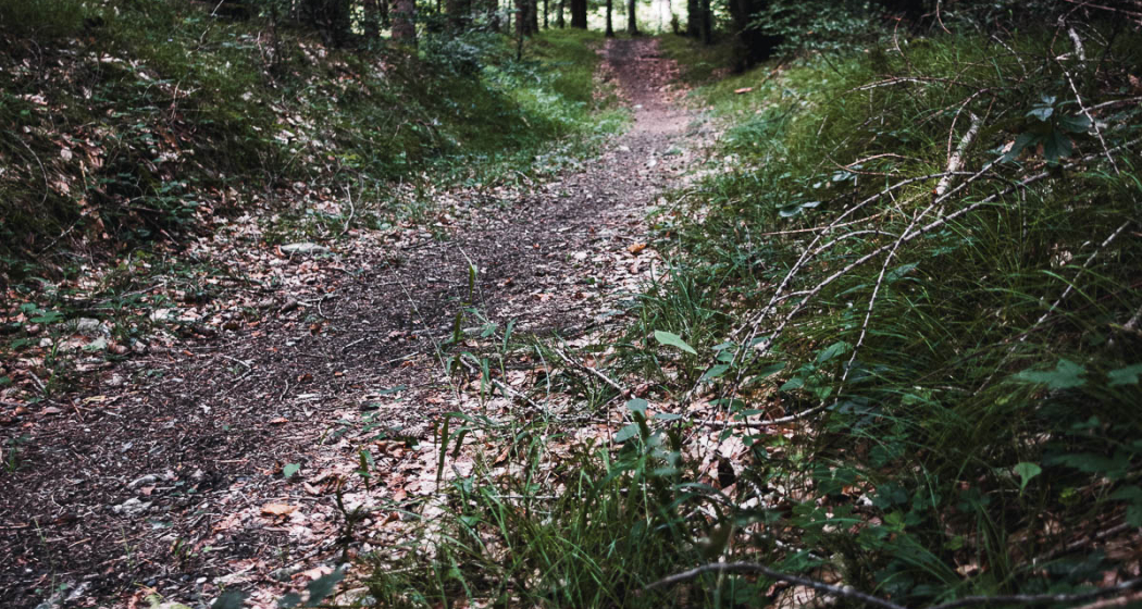 Fürstenwald Green Fürstenwald Green
