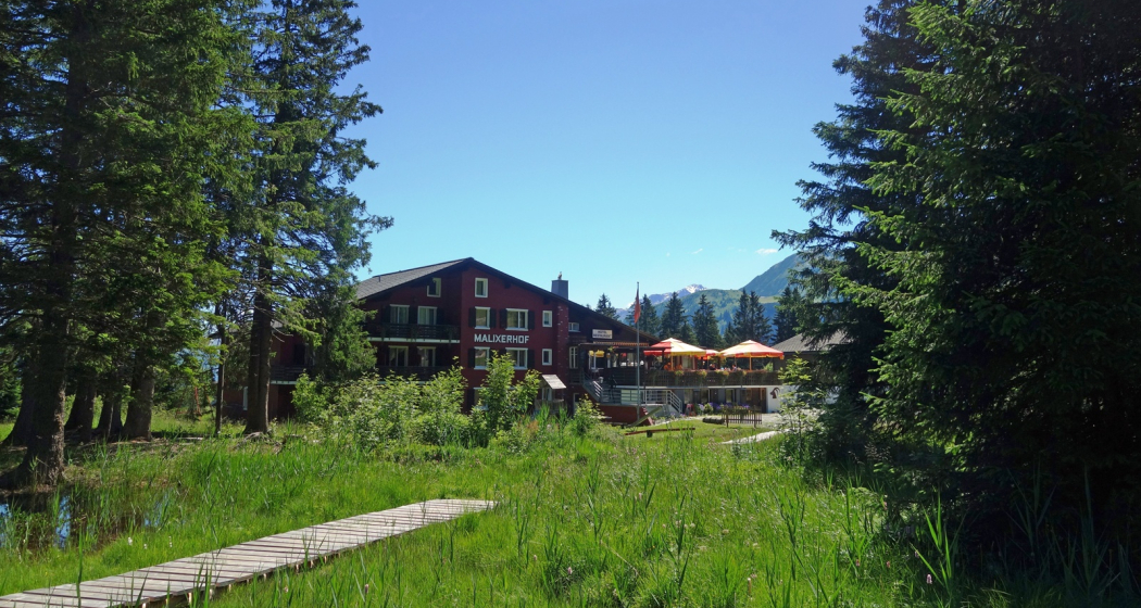 Malixerhof Brambrüesch im Sommer