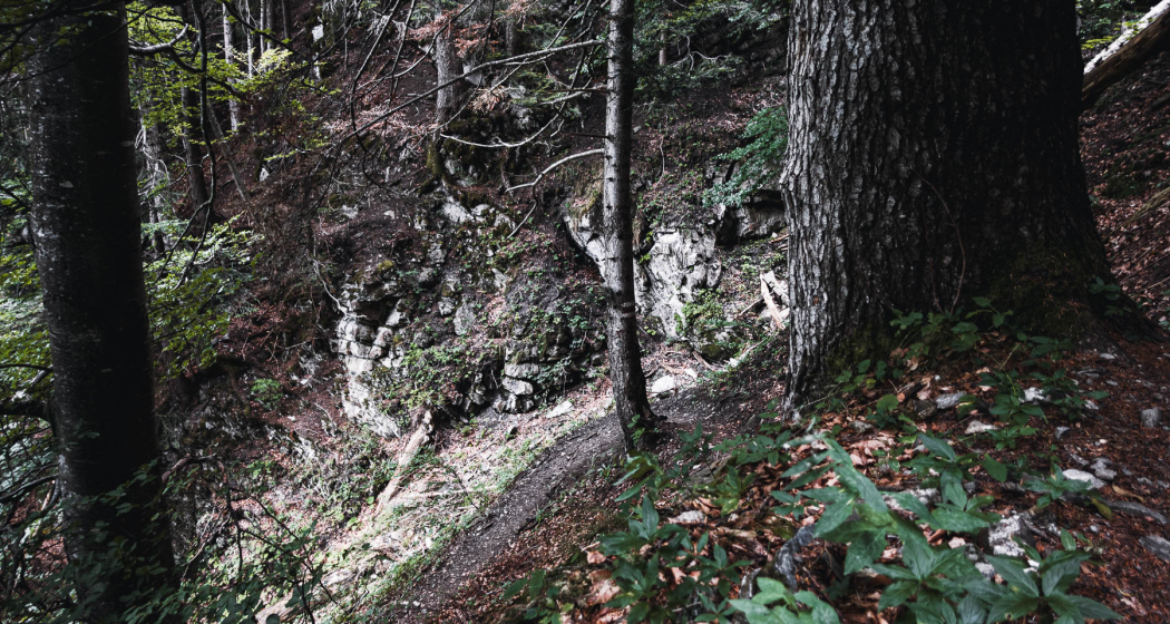 Kaltbrunntobel-Trail Kaltbrunntobel-Trail