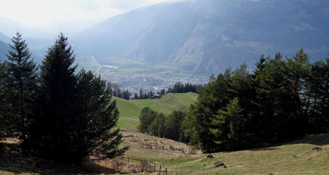 Blick auf den Mittenberg und die Stadt Chur