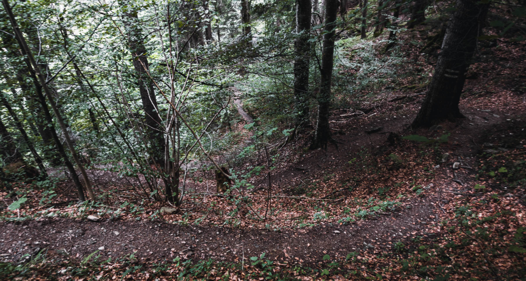 Kaltbrunntobel-Trail Kaltbrunntobel-Trail