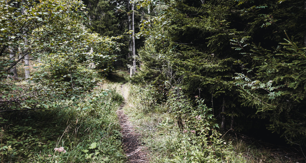 Maschänser Scalära Trail Maschänser Scalära Trail