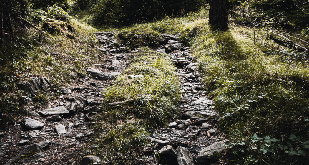 Trimmiser Rüfe Trail Trimmiser Rüfe Trail