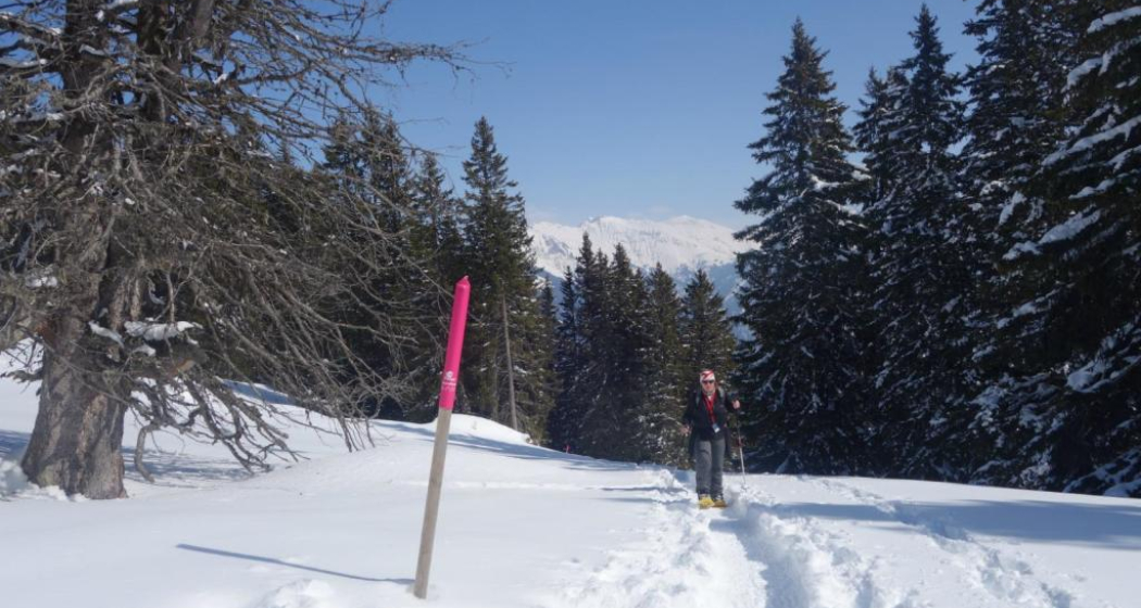 Aufstieg nach dem Spundiswald