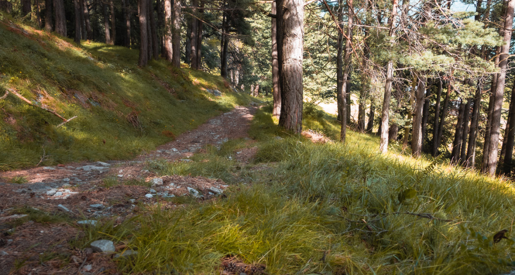 Calanda Trail Calanda Trail