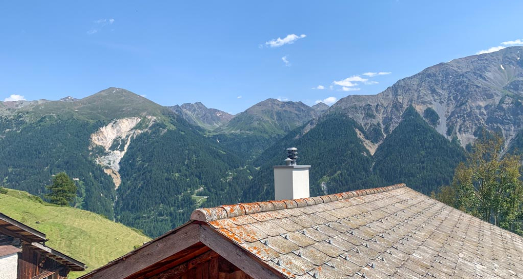 Blick vom Wintergarten