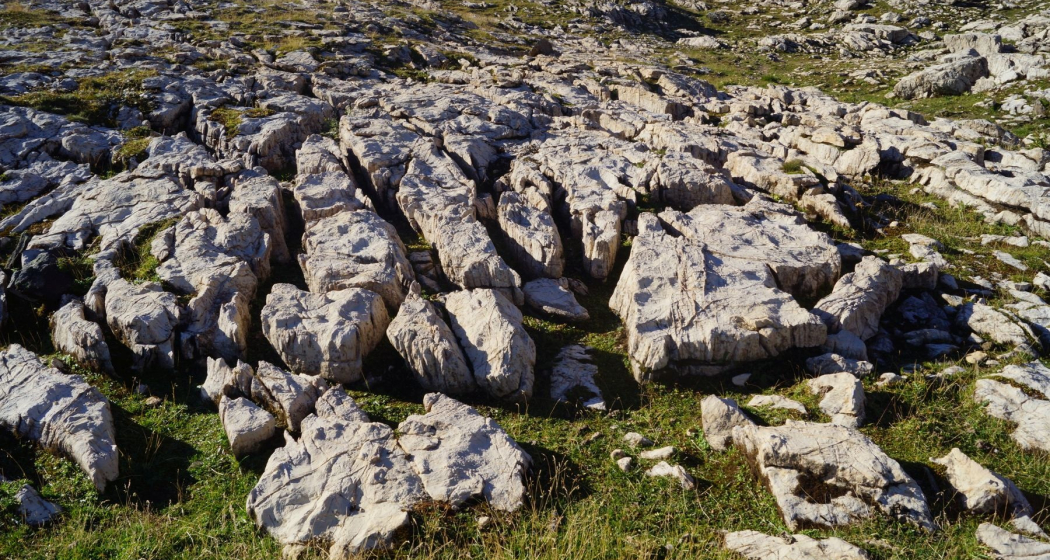 Dolomit auf der Hochebene von Schaffans (oua_35258598_image)