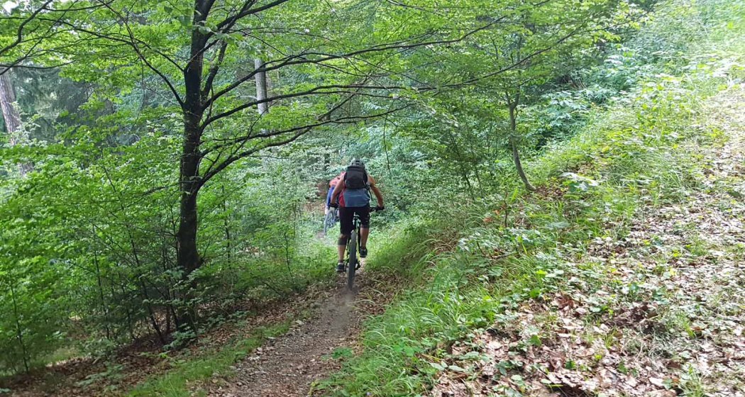 Einstieg in den Trail