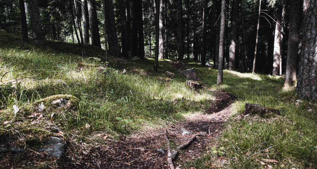 Maschänser Scalära Trail Maschänser Scalära Trail