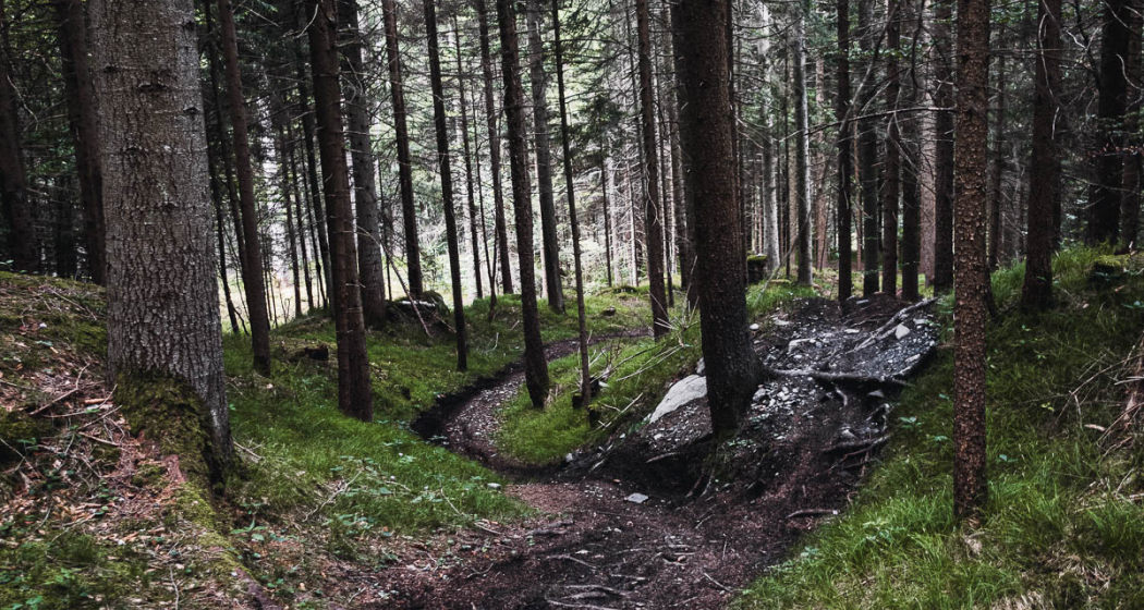 FürstenFlow Royale FürstenFlow Royale