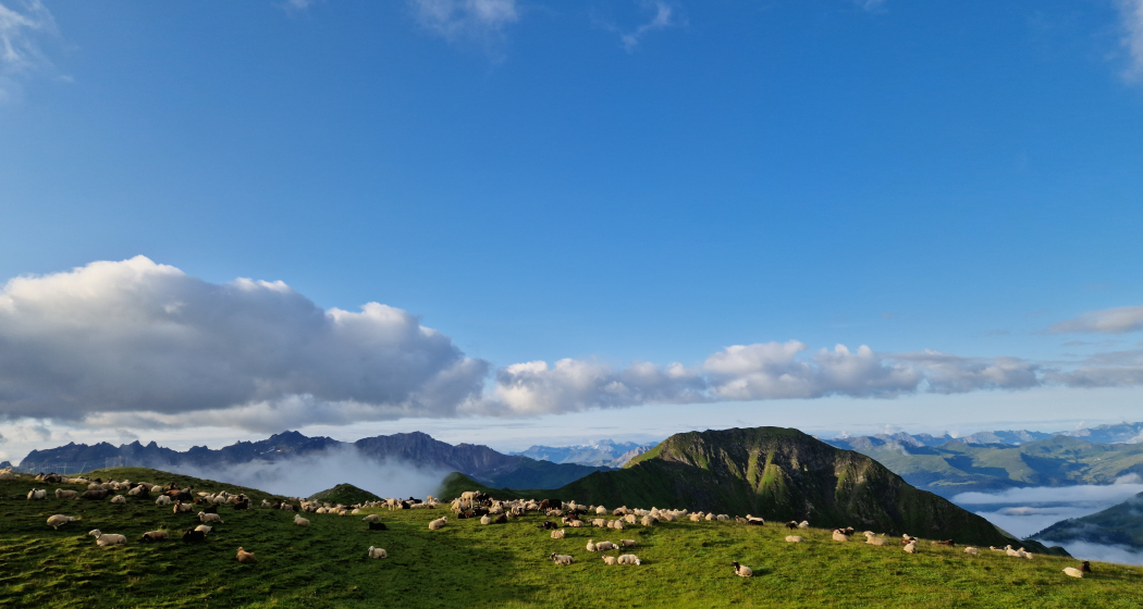 Hof Chüehgass Hof Chüehgass