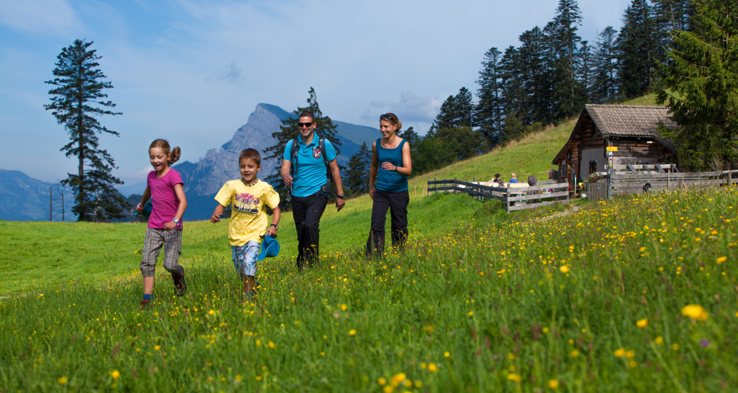 Ausflug auf die Heidialp (Ochsenberg).