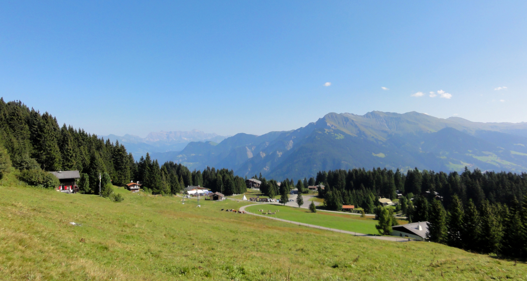 sehenswuerdigkeit_brambruesch_sommer-panorama_michaelchrist (5)