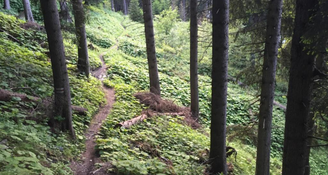 Antennatrail Brambrüesch