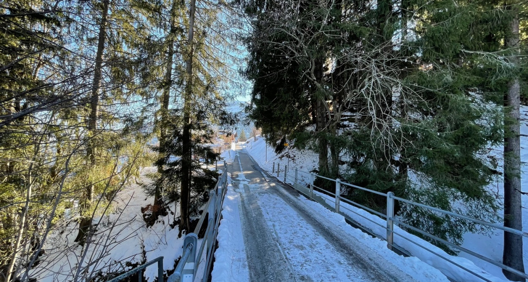 Weg von Tannenheim nach Angettlin