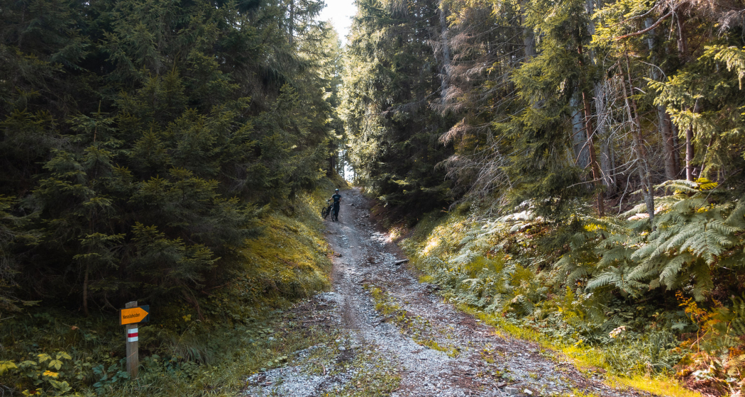 Calanda Trail Calanda Trail