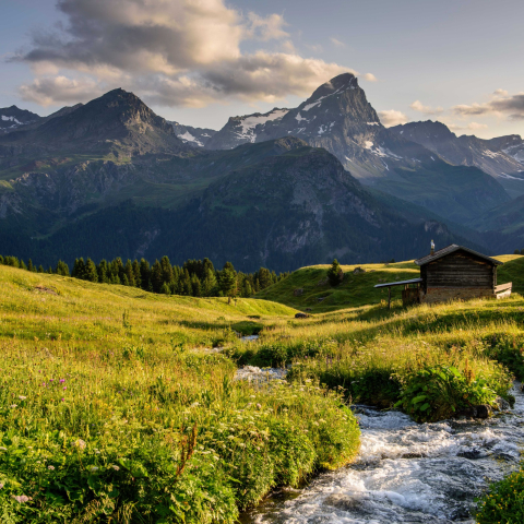 64.04 Savognin - Bivio, ViaSett (oua_25406320_image)