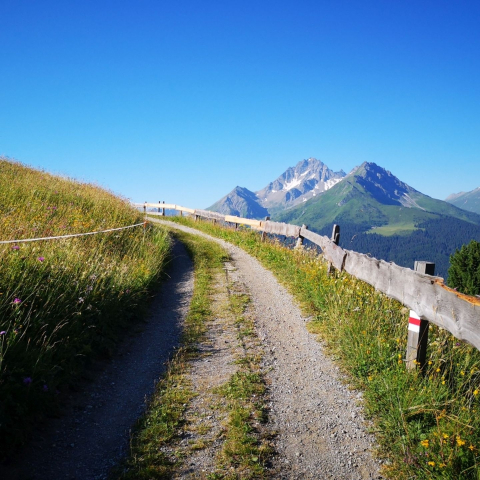 Wanderung zur Alp Tussagn (oua_40437488_image)
