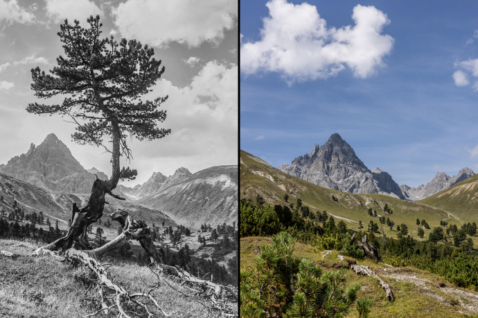 immer wilder (nsp_img_352081f)