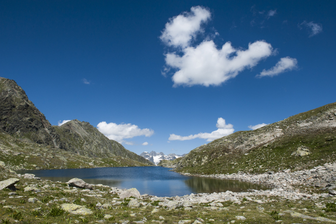 Geführte Exkursion Macun (nsp_img_826dbb9)