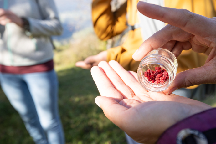 Biodiversität dank Hecken (nsp_img_957478c)