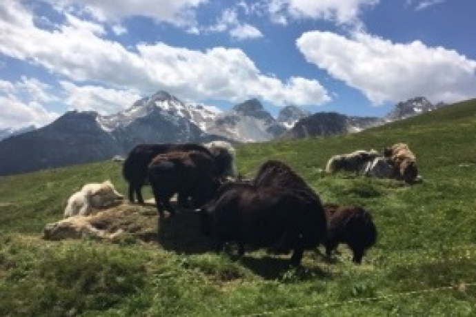 Bio-Hof Heinz Casutt (nsp_img_fc923d4)