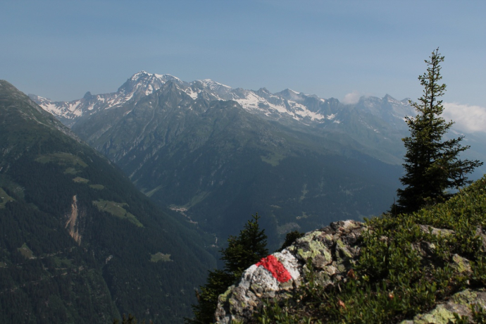 Blick auf den Tödi von der Alp Soliva