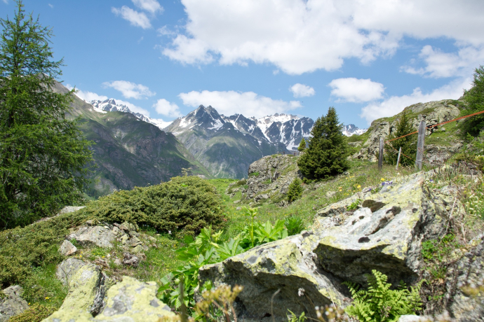 Alp Cluenas Rundtour