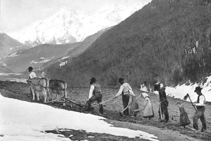 Famille d’agriculteurs grisons travaillant dans les champs (Collection K. Hager) Famille d’agriculteurs grisons travaillant dans les champs (Collection K. Hager)