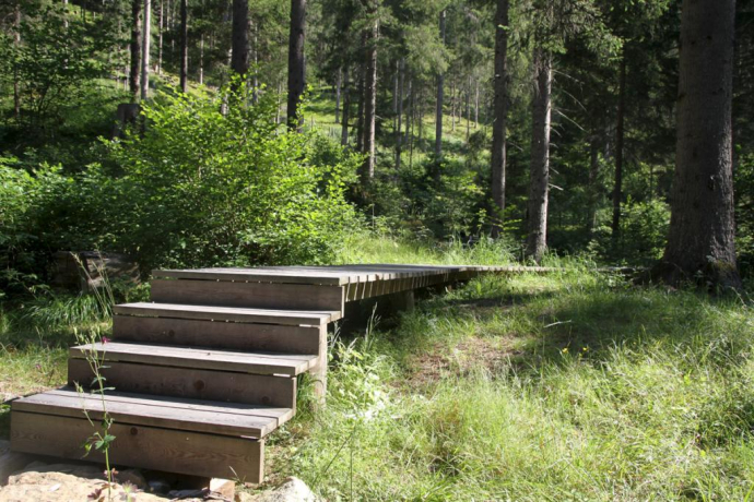 Rözenwald und Flachswaschteiche Rözenwald und Flachswaschteiche