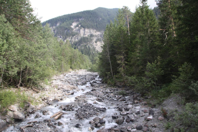 Albula und Schaftobelbach Albula und Schaftobelbach