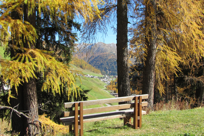 Talwanderweg am Südhang (oua_10809634_image)
