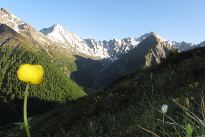 Samnaun Dorf – Mot Grond – Chè d’Mot – Samnaun-Laret (oua_10828105_image)