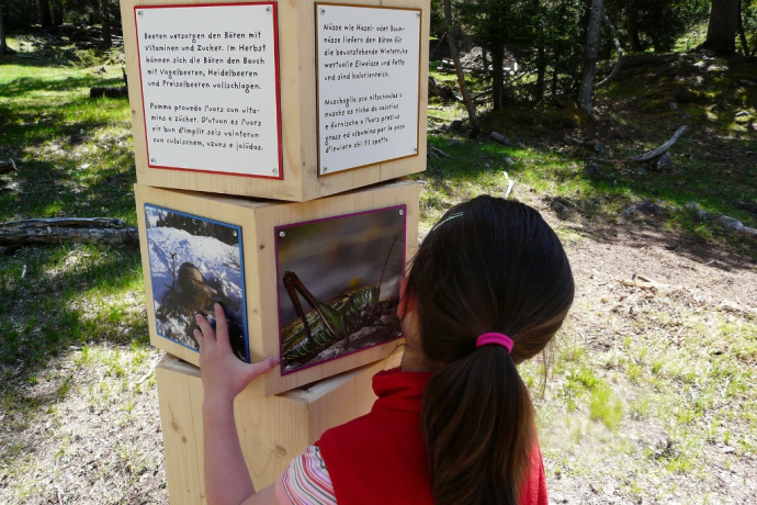 Bear Experience Trail – «senda da l’uors» (oua_10866551_image)