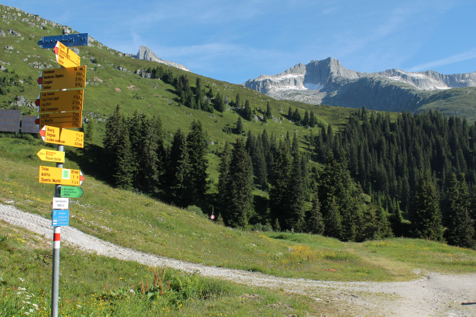 Start in Caischavedra