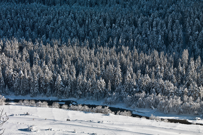 Along the Inn in the Lower Engadine.