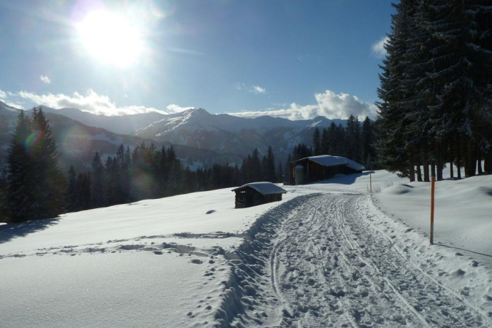 Vue sur le Prättigau