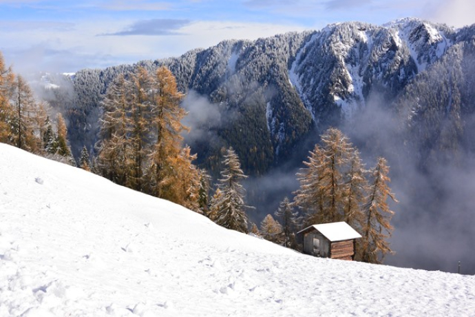 Winterwandern Waldweg Tenna (oua_13237105_image)