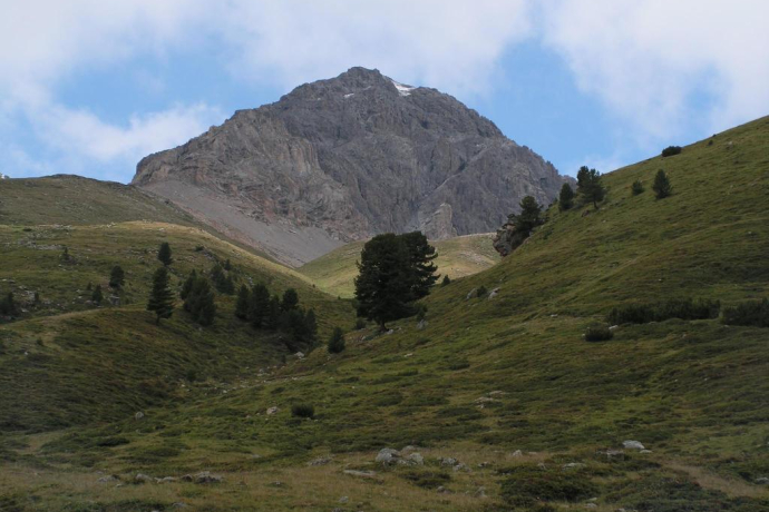 S-charl – Piz Amalia (retour) (oua_13649606_image)