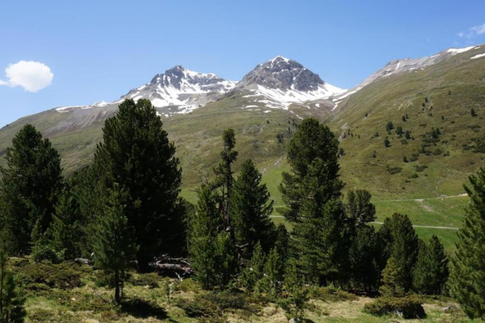 S-charl – Piz Amalia (retour) (oua_13649610_image)