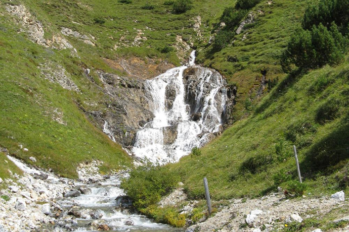 Source of the Albula (oua_13786268_image) Source of the Albula (oua_13786268_image)