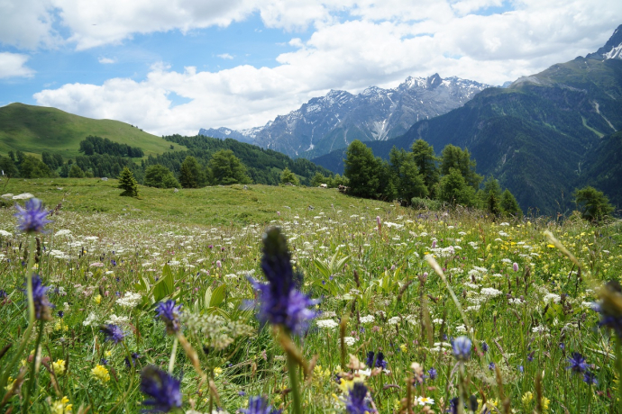 High above Munt d'Ardez