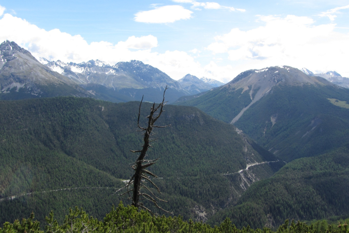 Vue de Murter direction à l'Ofenpass