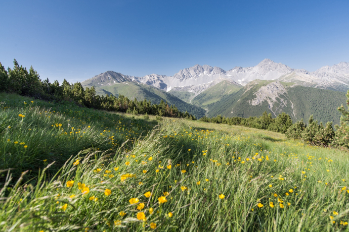 Etwas unterhalb der Mot Madlain mit Blick Richtung Val Tavrü.