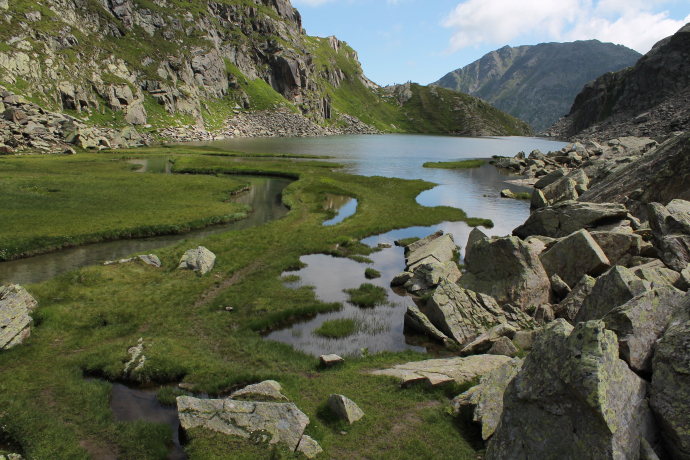 Rheinquelle (Tomasee)