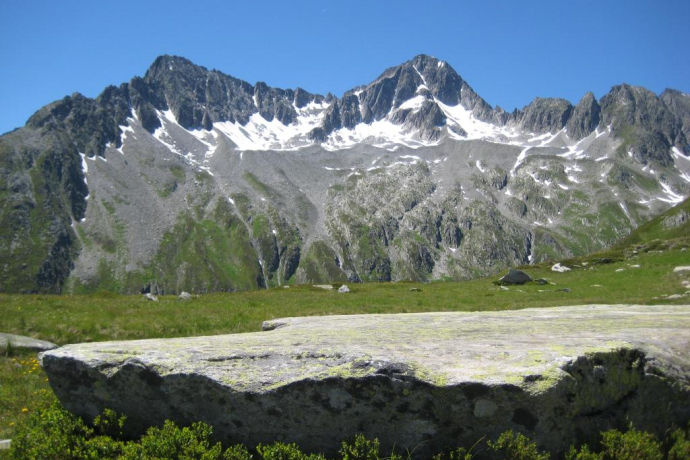 Hexenplatte Hexenplatte
