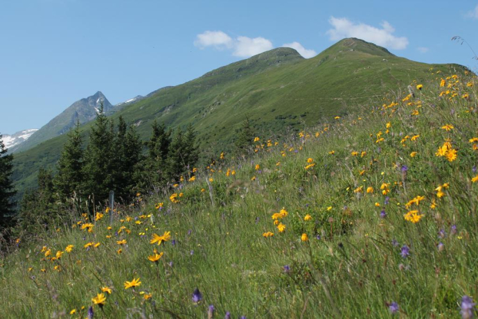 Aufstieg um Stavel Sisum