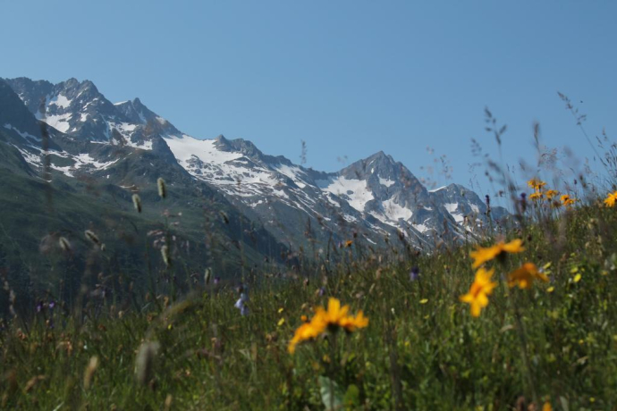 Piz Gannaretsch im Val Nalp