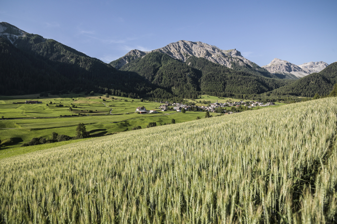 View into Val Müstair